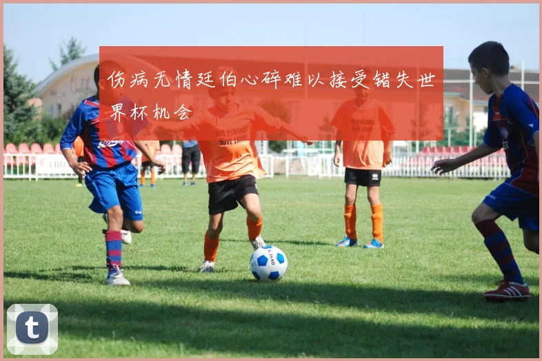 伤病无情廷伯心碎难以接受错失世界杯机会